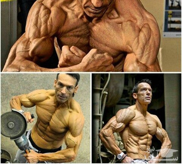 آناتومی زنده دنیا