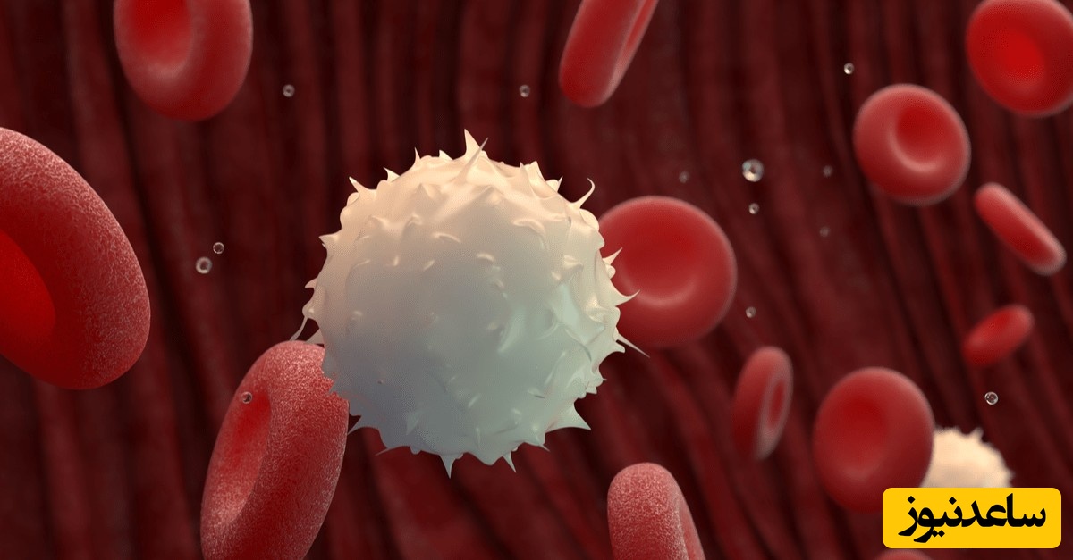 هروقت غمگین بودی یادت باشه میلیون ها سلول تو بدنت وجود دارن که فقط بخاطر تو میجنگن!/ پس نا امیدشون نکن! +ویدیو