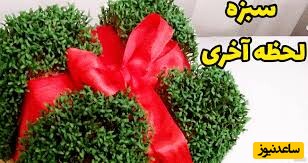 آموزش کاشت خرفه، شیکترین سبزه لحظه آخری که نمیشه چشم برداشت از زیباییش