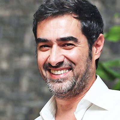 مازندرانی حرف زدن شهاب حسینی در حضور نقی و ارسطوی پایتخت+ویدیو/ محسن تنابنده: برای نقش شوهر فهیمه گزینه خوبی هستی😂