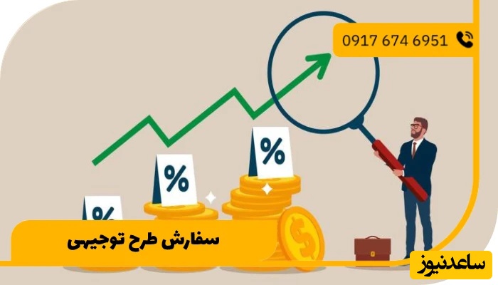 ویژگی‌های سفارش یک طرح توجیهی حرفه‌ای