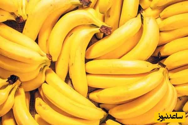 خلاقیت خنده دار پدر ایرانی برای حفظ موز در برابر مهمان ها حماسه آفرید +عکس/  هنر نزد ایرانیان است و بس😂