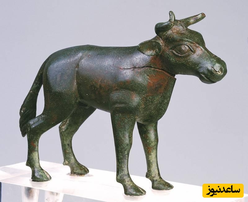 ویژه علاقه مندان به باستان شناسی: کشف  سر گاو برنزی 3000 ساله