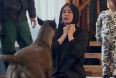 فیلم/پشت صحنه کلاس آموزشی «تربیت سگ های نگهبان» با استاد فریبا نادری/ دل شیر داره😍