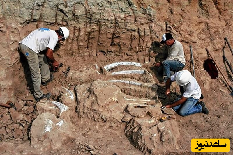 آشنایی با رشته باستان شناسی و بازار کار آن