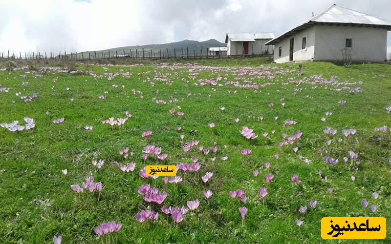 ییلاق شکردشت