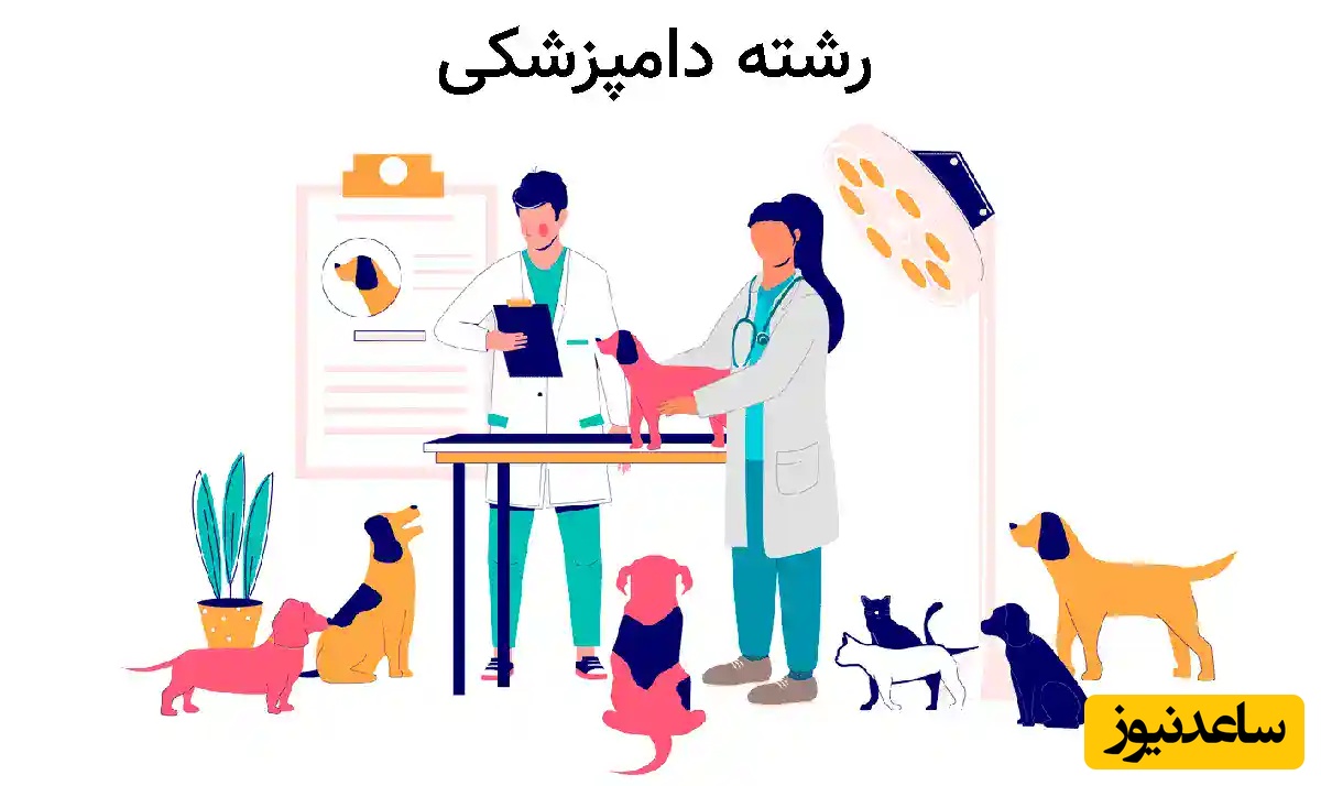 دانلود رایگان نمونه سوالات کنکور کارشناسی ارشد رشته فیزیولوژی دامپزشکی سال 1399