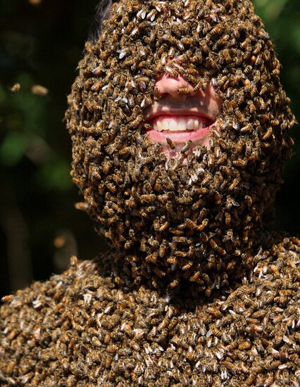 همزیستی عجیب مرد ریش زنبوری با حیوانات سمی! +ویدئو