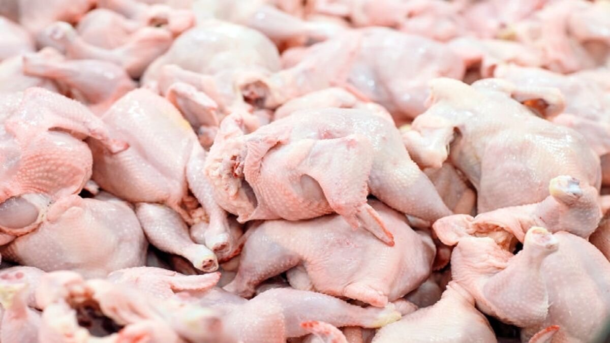 قیمت گوشت مرغ برای مصرف‌کنندگان 73 هزار تعیین شد