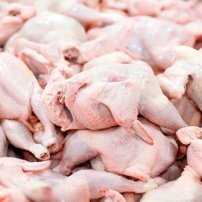 قیمت گوشت مرغ برای مصرف‌کنندگان 73 هزار تعیین شد