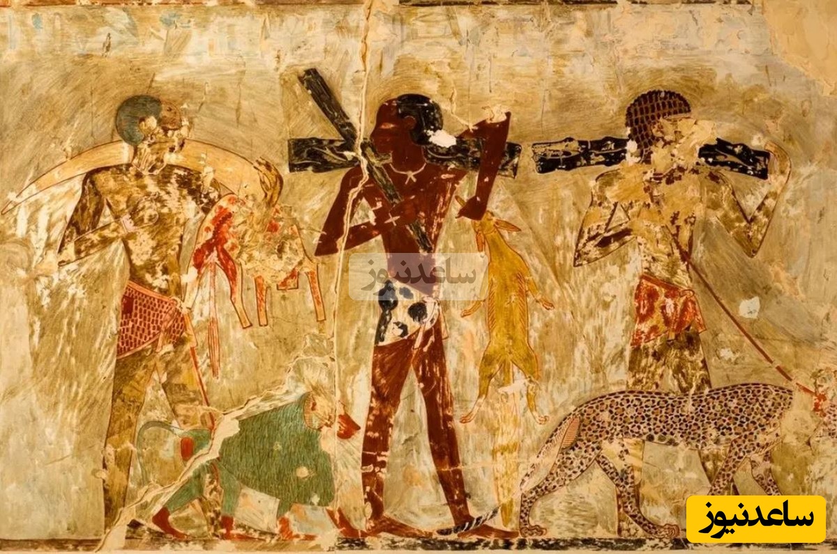 مقبرۀ 3500 سالۀ مربوط به مصر باستان که «حیات وحش آفریقا» را به تصویر کشیده است
