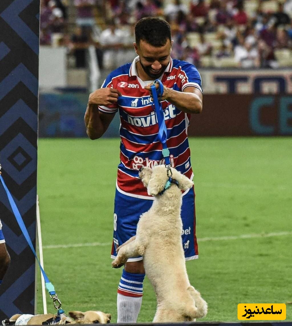عجیب ترین ورود به زمین در تاریخ فوتبال با سگ پناهندگان+ویدیو
