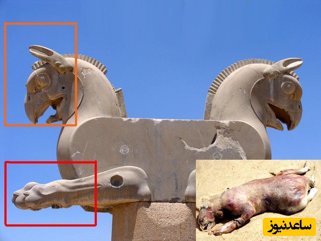 کشف حیوانی عجیب با شباهت فوق العاده به مجسمه‌های معروف تخت جمشید به نام سگ شیر + عکس