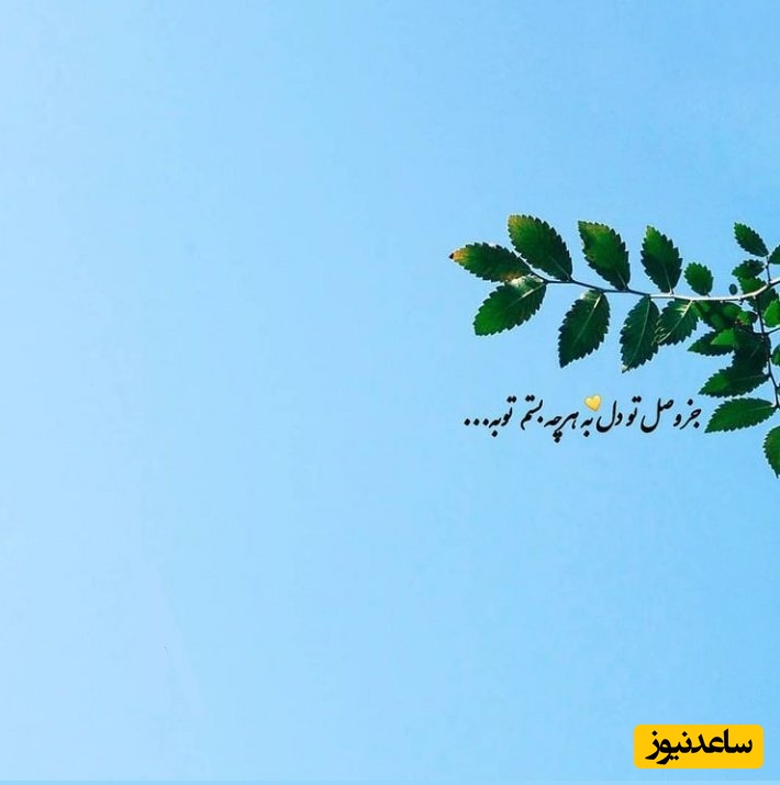 (ویدیو) هر روز چند بیت شعر زیبا مهمان ما باشید/ سعید ابوالخیر: جز وصل تو دل به هر چه بستم توبه😍