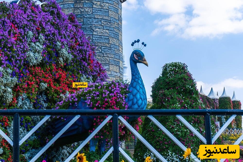 آشنایی بیشتر با باغ گل معجزه دبی