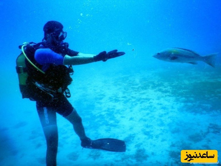  انگین آکیورک