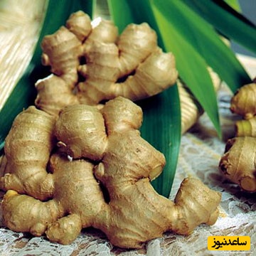 دیدن زنجبیل در خواب چه تعبیری دارد؟/ تعبیر خواب زنجبیل