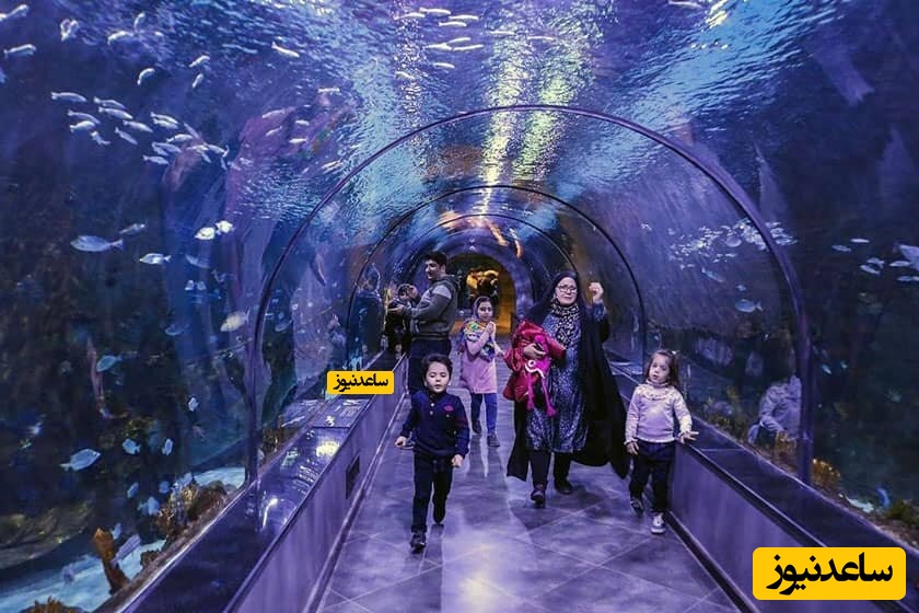 آکواریوم انزلی