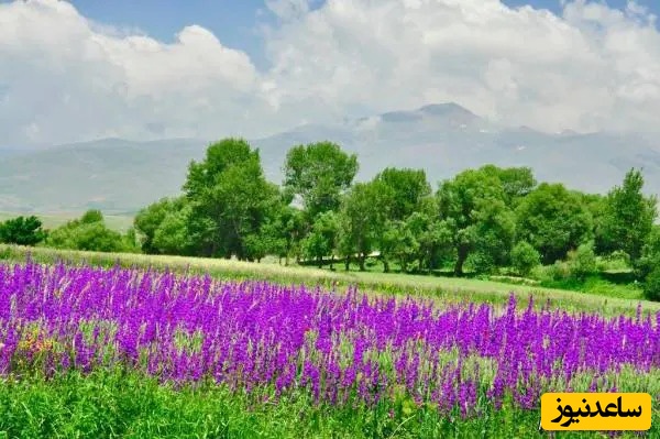 نمایی از طبیعت زیبای اردبیل