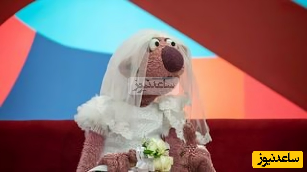 ویدیو| وقتی جناب خان خیلی تو نقشش فرو میره؛  برای اختاپوس نر غیرتی میشه😂 / سیستم حیات وحشو برد زیر سوال، میگه 8 تا پاتو قلم میکنم!