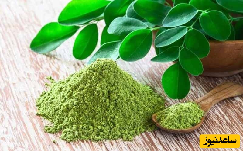 فواید گیاه مورینگا برای سفیدی پوست که باید بدانید