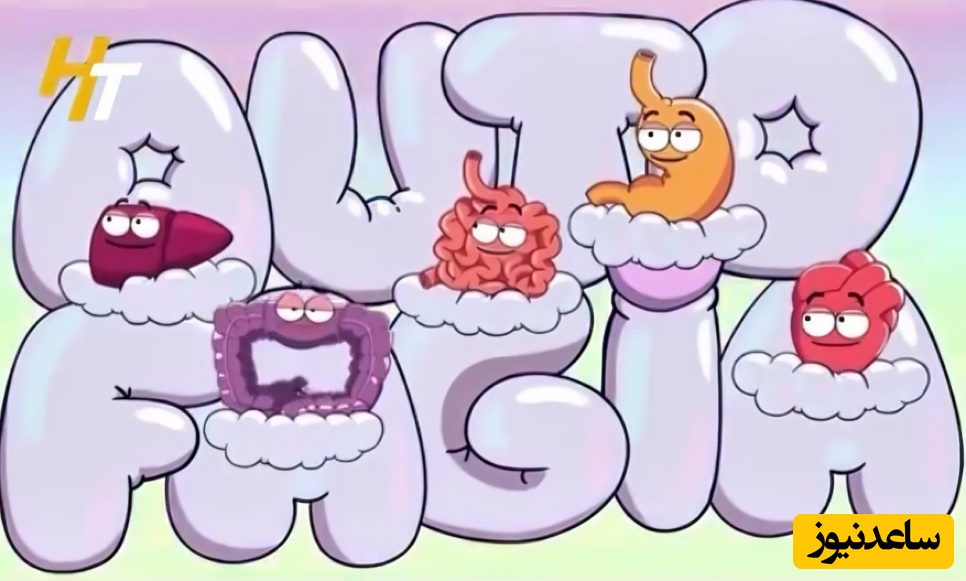 (ویدئو) سفر 36 ساعته بدن با شکم خالی؛ از پاکسازی سلولی تا تصمیم عجیب مغز در لحظه آخر!😂