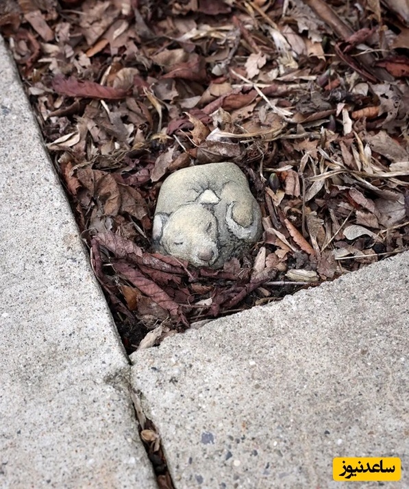 نقاشی های خیابانی