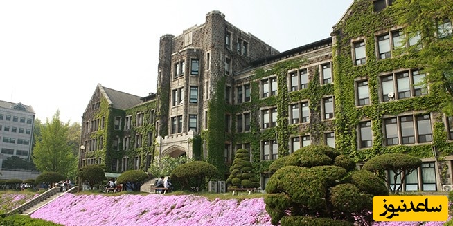 دانشگاه یون سی – Yonsei University
