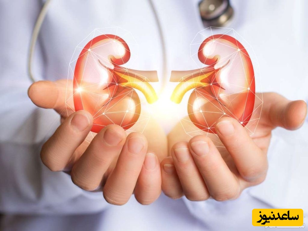 شرایط بارداری پس از پیوند کلیه