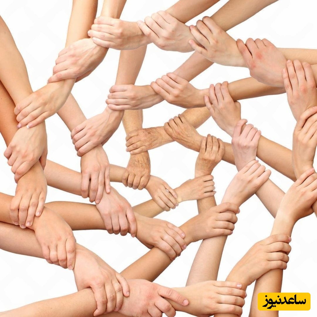 (ویدئو) آخرین تحقیقات هاروارد نشان می‌دهد موفقیت شما در دست این چند نفر است!