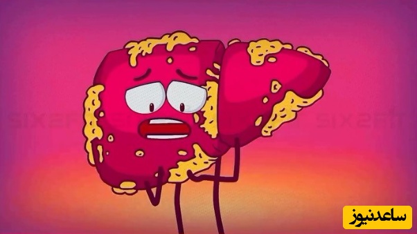 (ویدئو) شیرینی‌ها، شکر و نوشابه‌ها چطور کبدت را خسته و شکمت را بزرگ می‌کنند! 😱 انیمیشن خنده‌دار و شوکه‌کننده که همه باید ببینند 🍩