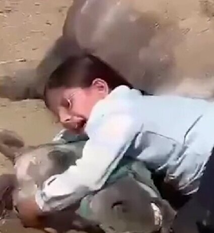(ویدئو) گریه‌ دلخراش جوانترین دختر اسب سوار کردستان!