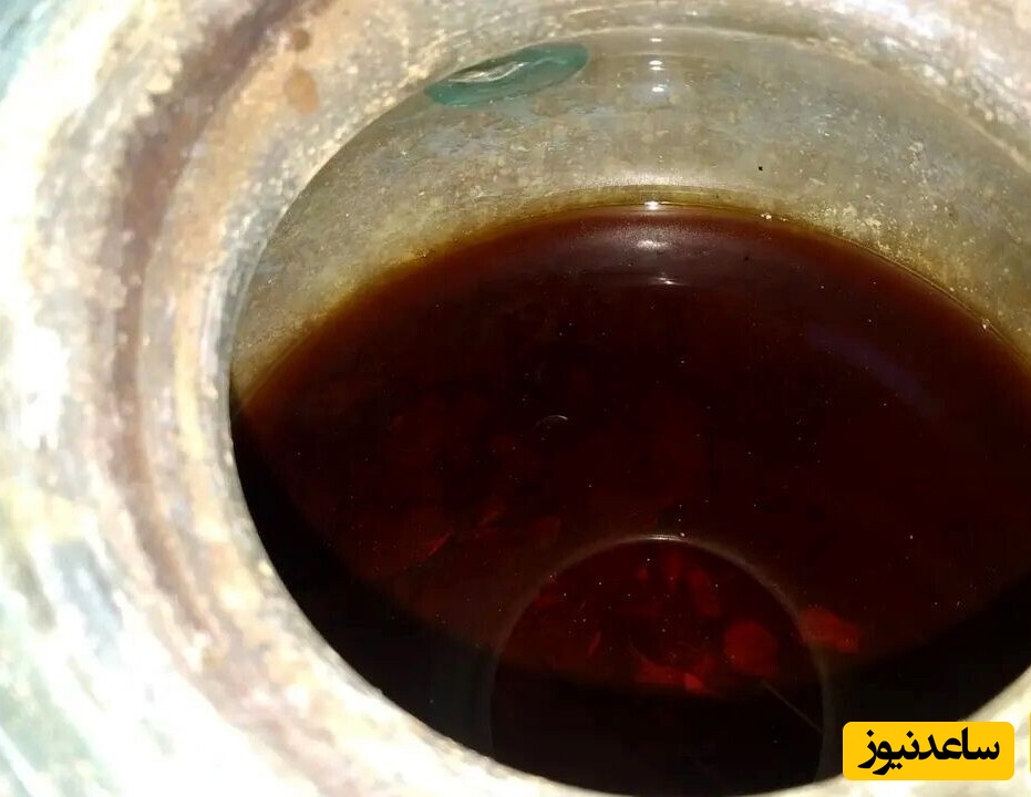 کشف کهن‌ترین شراب جهان که حاوی استخوان مرده است +عکس
