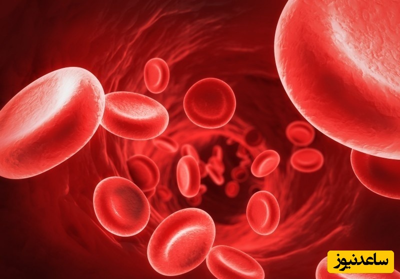 آشنایی با رشته هماتولوژی (خون‌شناسی) و بازار کار آن