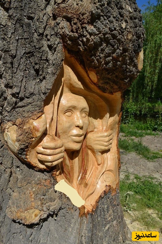 خلاقیت باورنکردنی هنرمند ایرانی برای تبدیل درختان خشکیده خیابان به یک اثر هنری /این قطعا زیباترین چیزی است که امروز می‌بینید، هنر معجزه دنیاست + عکس