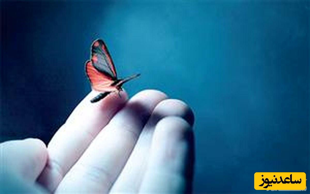 تست روانشناسی/ چقدر اهل گذشت و بخشش هستید؟