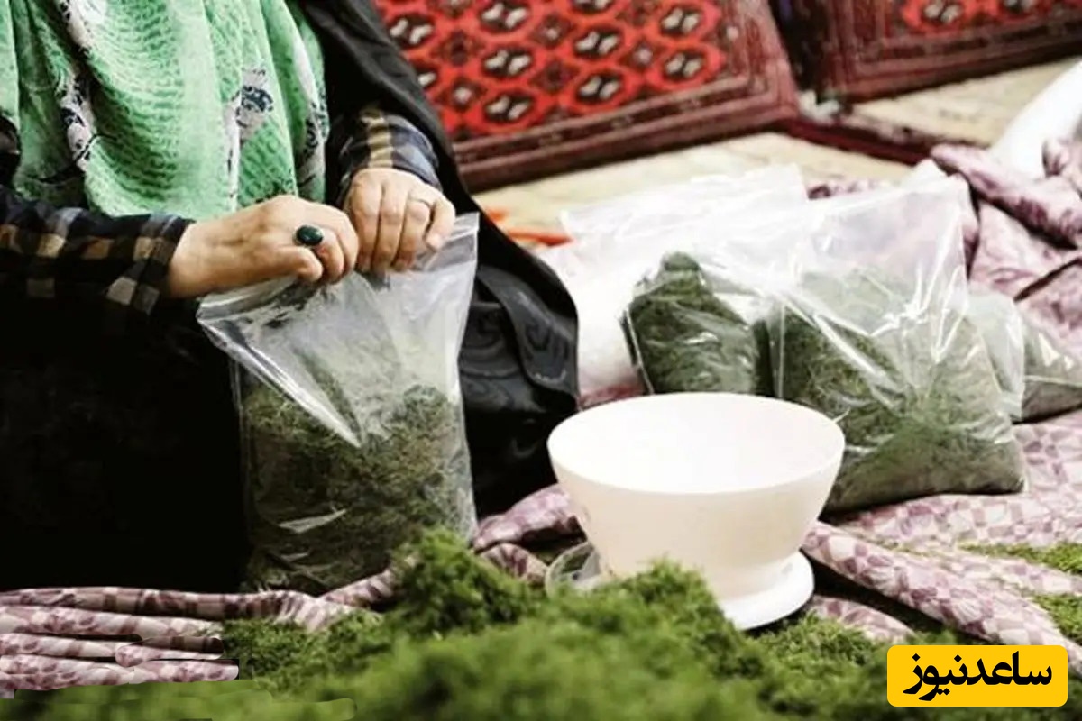 پردرآمدترین و پولسازترین شغل خانگی در ایران چیست؟