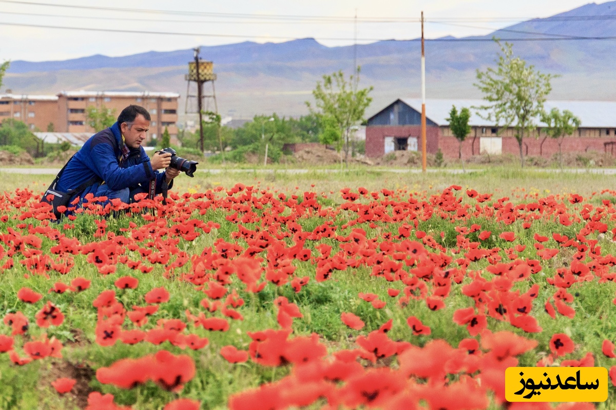 علی حامد حق دوست در حال عکاسی