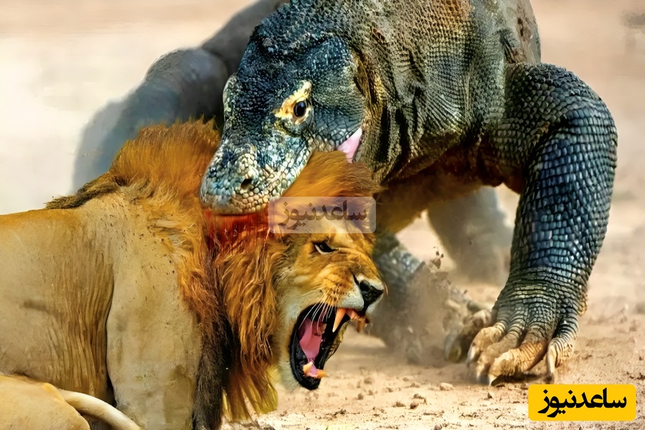 هیولایی از عصر دایناسور ها/ وقتی طبیعت چهره‌ی تاریکش را نشان می‌دهد حیوانی که برای زنده ماندن هم‌نوعش را می‌بلعد! +ویدیو