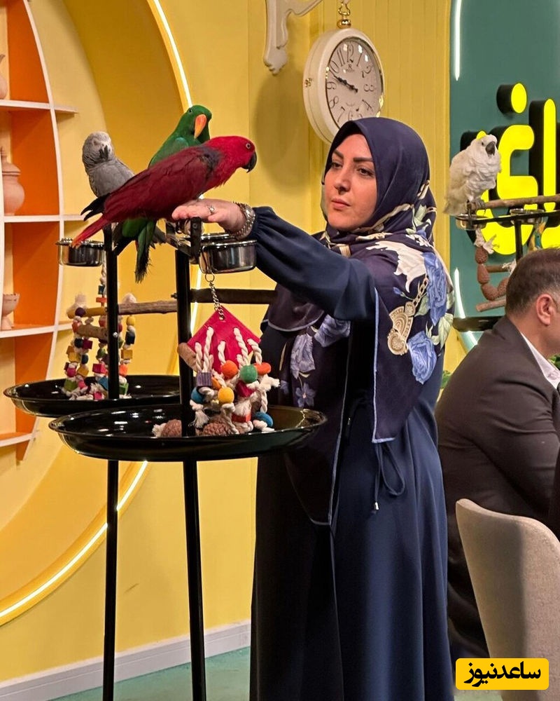 (فیلم) گلایه المیرا شریفی مقدم از قیمت خیار: موز 118 هزار تومان، بعد اونوقت خیار 100 هزار تومان؟!