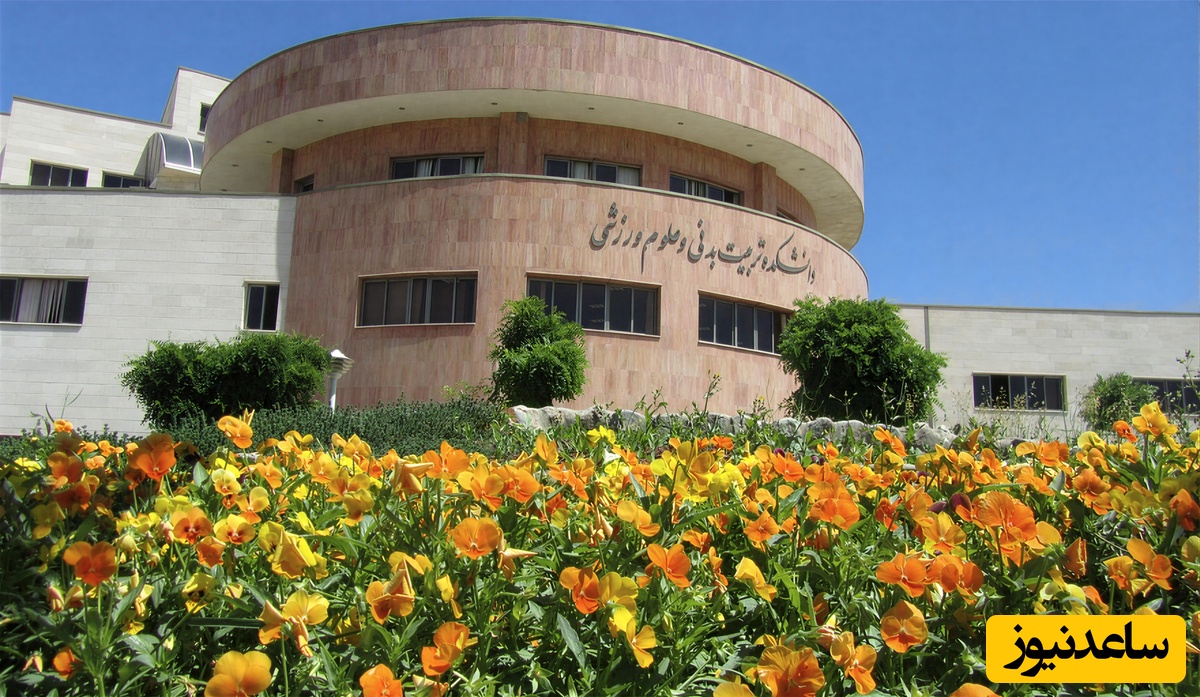 (ویدیو) نگاهی به دانشگاه خوارزمی در طبیعت باییزی/ محیطی جادویی و رویایی که حس می‌کنید در دل یک نقاشی زندگی می‌کنید🤩