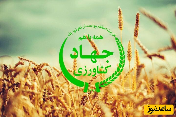 جهاد کشاورزی، حافظ امنیت‌ِ غذایی شهروندان قمی شد