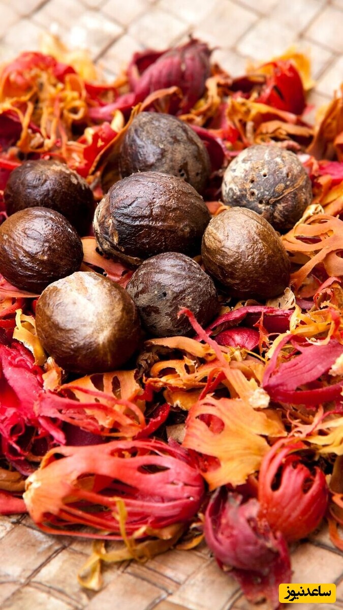 جوز هندی