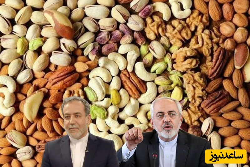 همه چیز درباره ماجرای 270 کیلو آجیل و پاستیلی که ظریف و عراقچی در وین خوردند!+ویدیو