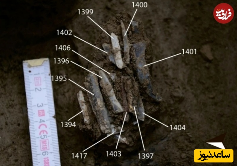 کشف باستانی