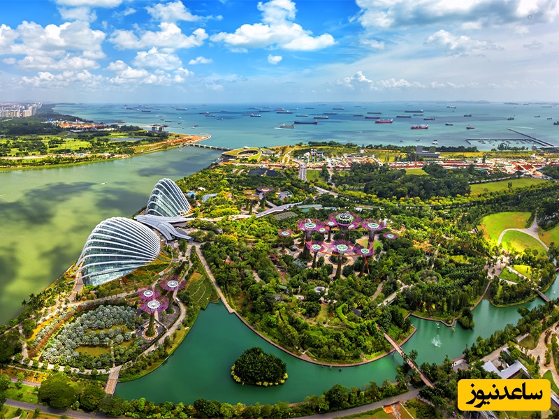 (ویدئو) نگاهی خیره‌کننده به شاهکار معماری پارک بزرگ باغبانی در سنگاپور با بیش از 226000 گیاه/ خدایی که این سازه لایق جایزه بهترین طراحی دنیا رو داره