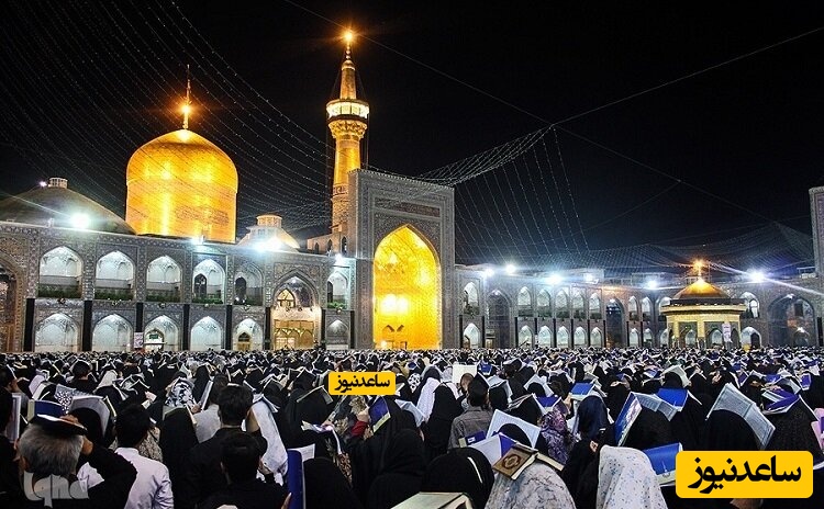 (فیلم)  تماشایی از دریای بی‌کران شب‌زنده‌داران در جوار امام رئوف