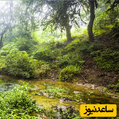بهترین مناطق دیدنی گالیکش در استان گلستان