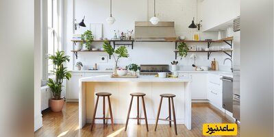 چند نمونه از خوشگل ترین گیاهان برای تزیین آشپزخانه