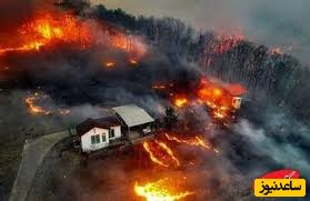 آتش‌سوزی مهیب و وحشتناک، ده‌ها هکتار را به خاکستر تبدیل کرد/ فیلم